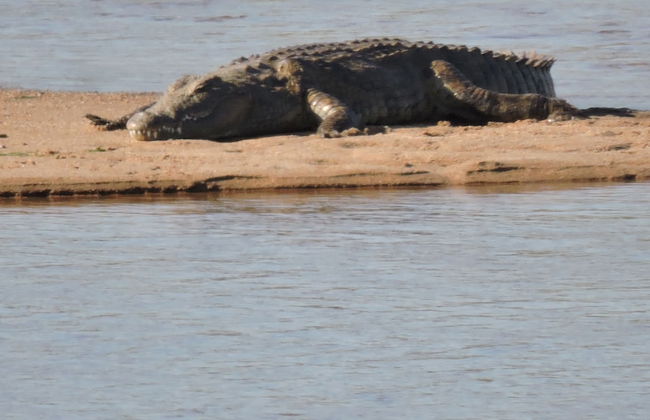 Umvangazi Rest - Enjoy a Relaxing, Rejuvenating and Peaceful Setting in the Bush - Foto 17