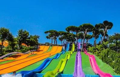 Elsi's place - Photo 28