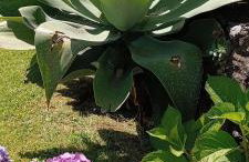 Nanna's Country Home - Foto 75