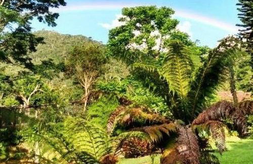 Sítio Preguiça - Foto 29