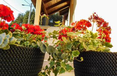 Apartman Lara - Photo 37