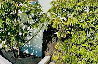 Villa del Mar Lanzarote - Luxury Beachhouse - Foto 68