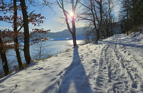 Rurseeparadies Kienert - Foto 43