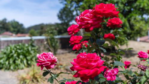 Casa Fermil do Lago - Foto 2