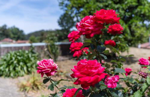 Casa Fermil do Lago - Foto 2