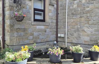 The Waltzing Weasel - Photo 20