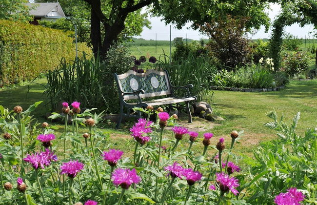 Apartment Baltic Coast Near Ski Lifts - Foto 29