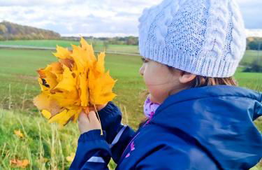 Ferienwohnung Löwenstern Niederstetten - Foto 35