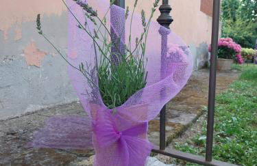 Casa di Giulia (Bambini gratis fino a 6 anni) - Foto 21