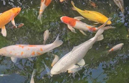 Peaceful home - Foto 48