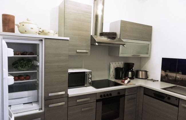 Old Vienna Apartments - Foto 51