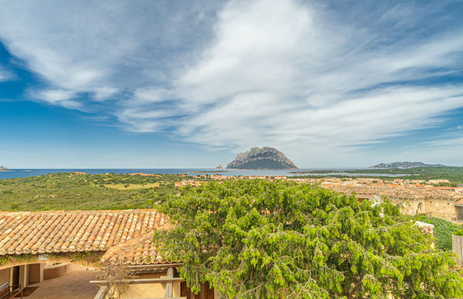 Acacia 1 - Vista Village - Foto 22