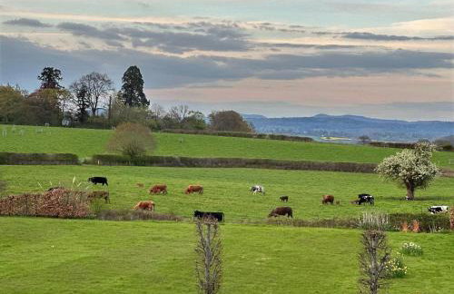 The Retreat at Phillips House - Foto 20