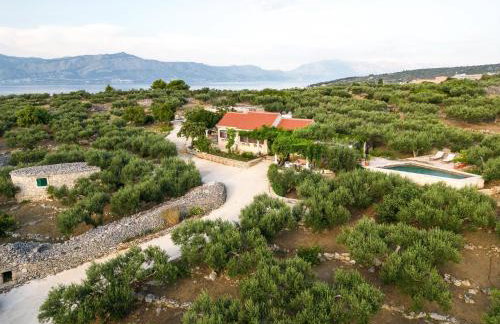 Villa Roza - Foto 99