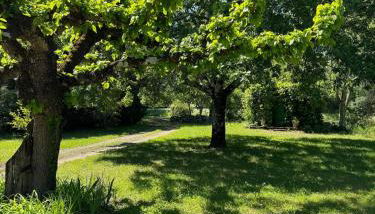 Estate with pool on 2 hectares in Balazuc - Foto 3