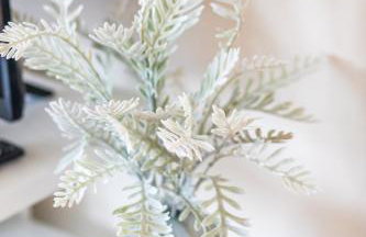 Seashell Escape - Foto 45