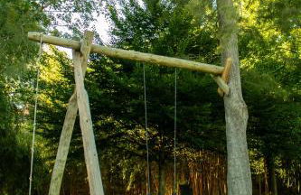 Quinta da Vinha do Souto - Foto 43