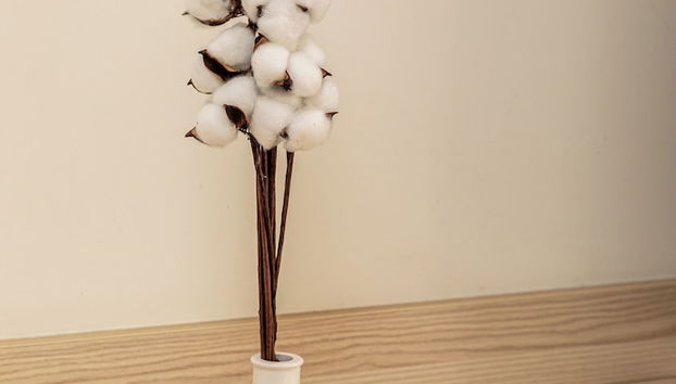 Yes apartments by botanical garden - Foto 3, Quarto