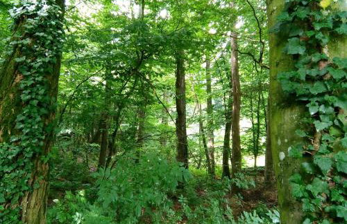 Casa "Dolina Kraljevac" - Foto 5