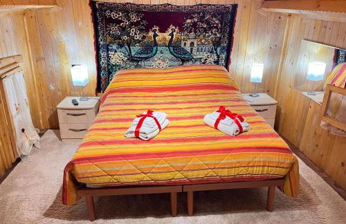 ANTICA BAITA - Foto 27