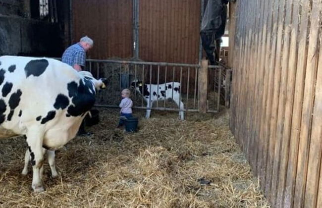 Breitenbach Modern Retreat - Foto 5