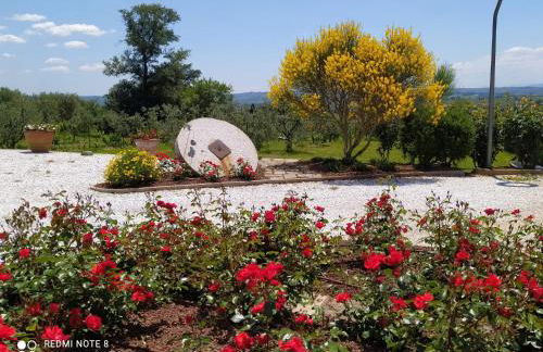 Le Macine di San Salvadore - Foto 9