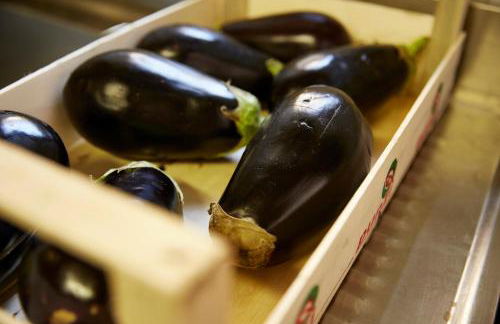 Agriturismo Ca' del Ciuco - Foto 33