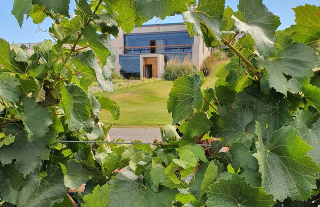 Visite à la découverte des domaines viticoles de Neuquén - Photo 7