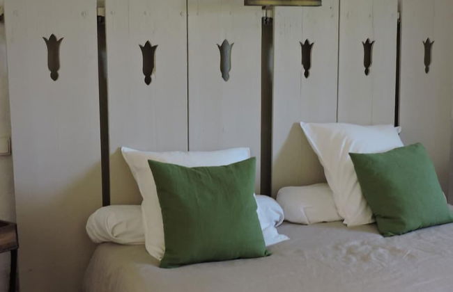 La Nesquière - Photo 4