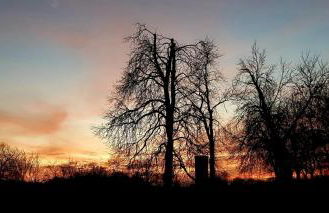 Ferienhaus Gransee unmittelbar am Stechlinsee - Radweg - Foto 6