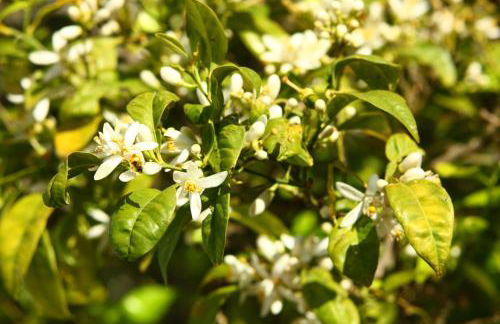 VALDEVAQUEROS HOUSE - Foto 35