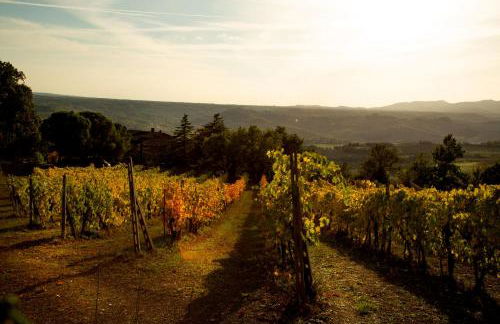 Agriturismo Le Roghete - Foto 50