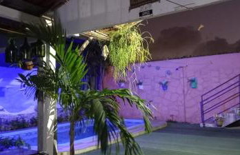 Flor de cacto - Foto 6