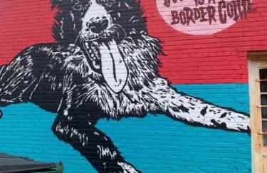 The Governor's Mansion - A Step Back in Time. - Foto 43