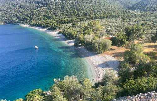 pines & sea - Foto 36