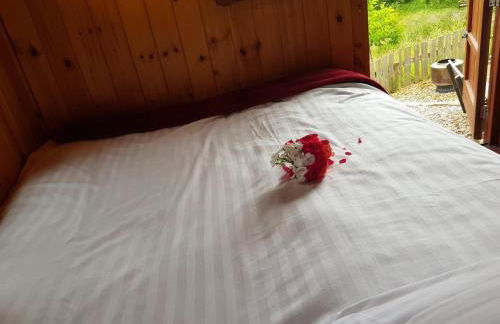 Cornflour Cozy Cabin Retreat - Foto 15