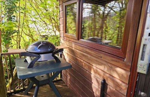 Treetops Lodge, private Cornish hideaway, parking, garden - Foto 51