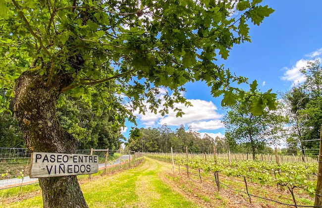 Enoturismo María Manuela - Photo 59