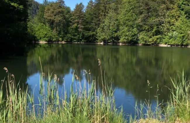 Family Apartment Bavaria - Foto 29