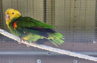 Nid du merle avec sauna et jacuzzi privatif - Foto 54