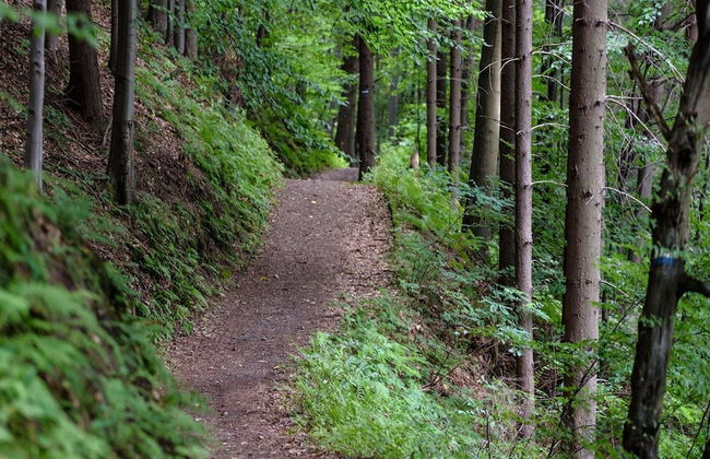 6 Person Holiday Home in Vreta Kloster - Foto 21