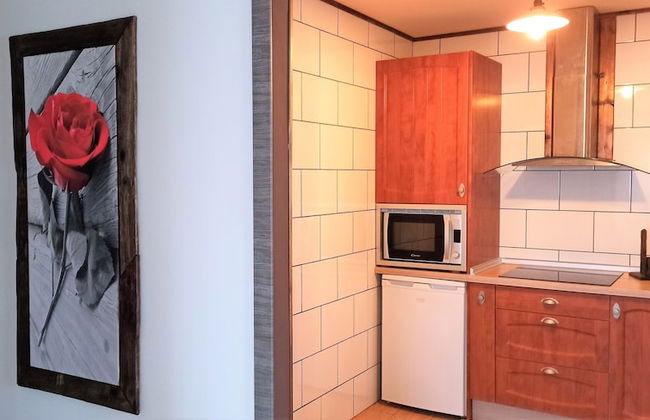 Apartamentos El Guardaviñas - Photo 12