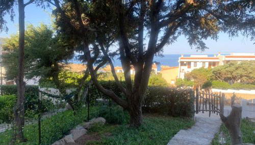 CASA TRIBOLATI SANTA REPARATA - Foto 3