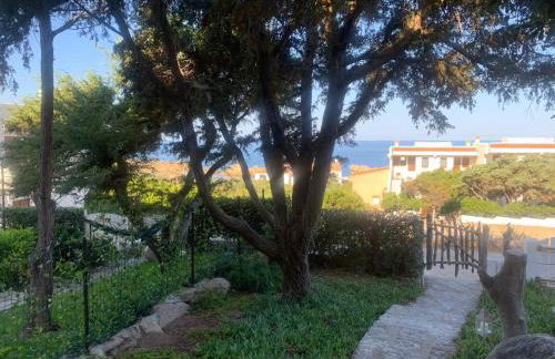 CASA TRIBOLATI SANTA REPARATA - Foto 3