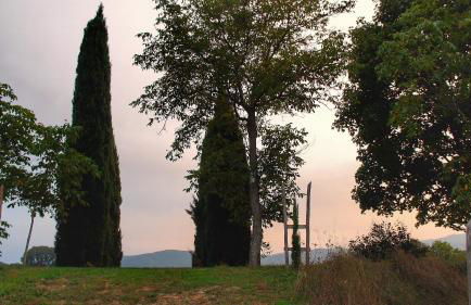 Agriturismo Casa Agricola Rossi Appartamenti in Casentino - Foto 27