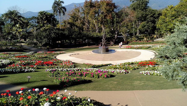 Dia Inteiro Doi Tung e Salão do Ópio - Foto 5