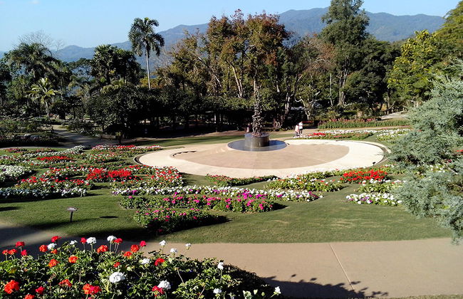 Dia Inteiro Doi Tung e Salão do Ópio - Foto 5