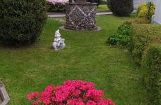 Happy Host by YV - Foto 10