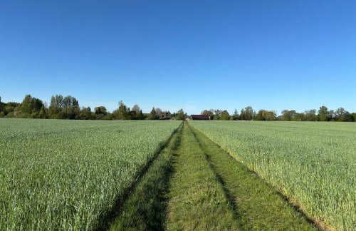 dla mnie się podoba - Foto 37
