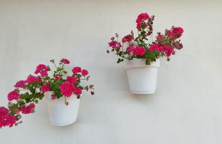 Villa Sara - Villa con piscina - Foto 25